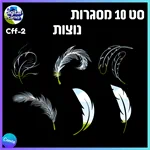 סט 10 מסגרות נוצות - Cff-2 2